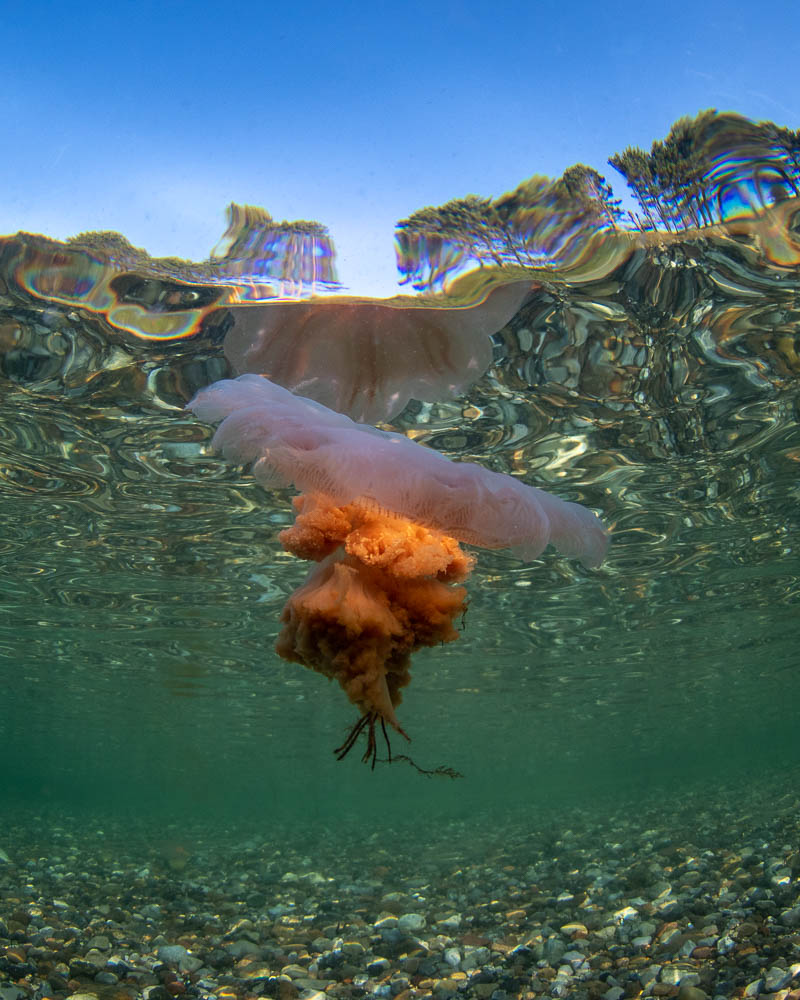 DSC_0008.jpg DSC_0008.jpg