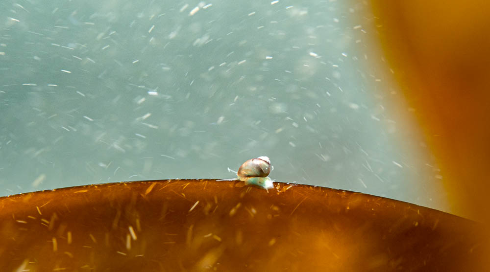 PÅ KANTEN AF STORMVEJRET PÅ KANTEN AF STORMVEJRET